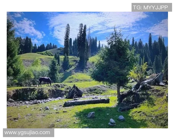 探索新疆的真人秀魅力展现多元文化与自然风光的奇妙旅程